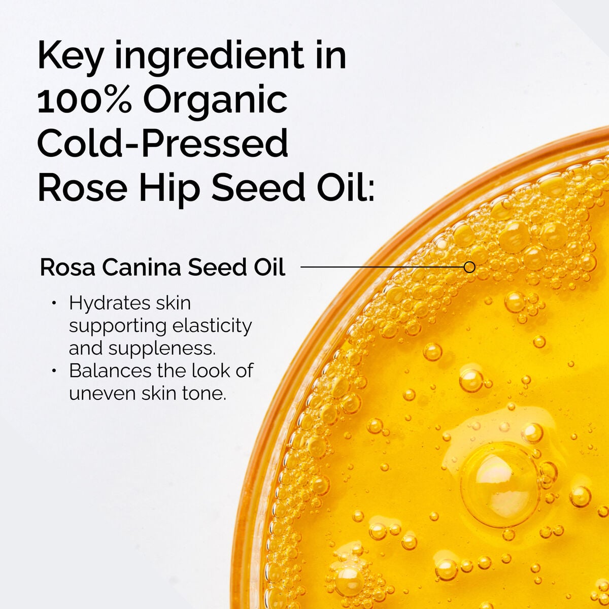 100-organic-cold-pressed-rose-hip-seed-oil-h2 FY25-D41247-ORD-Web-PDP-100-Rose-Hip-Oil-1x1-EN-2.jpg