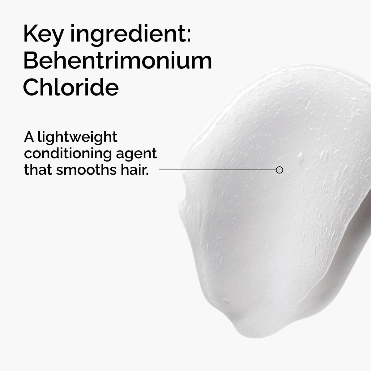 behentrimonium-chloride-2-conditioner-f9 FY25-D41247-ORD-Web-PDP-BTC-1x1-EN-2a.jpg
