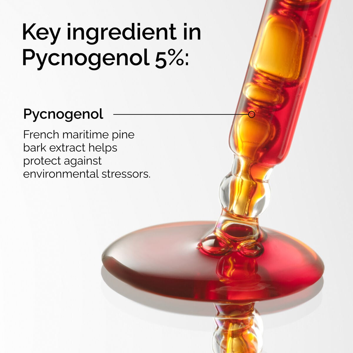 pycnogenol-5-n9 FY25-D41247-ORD-Web-PDP-Pyc-5pct-1x1-EN-2a.jpg