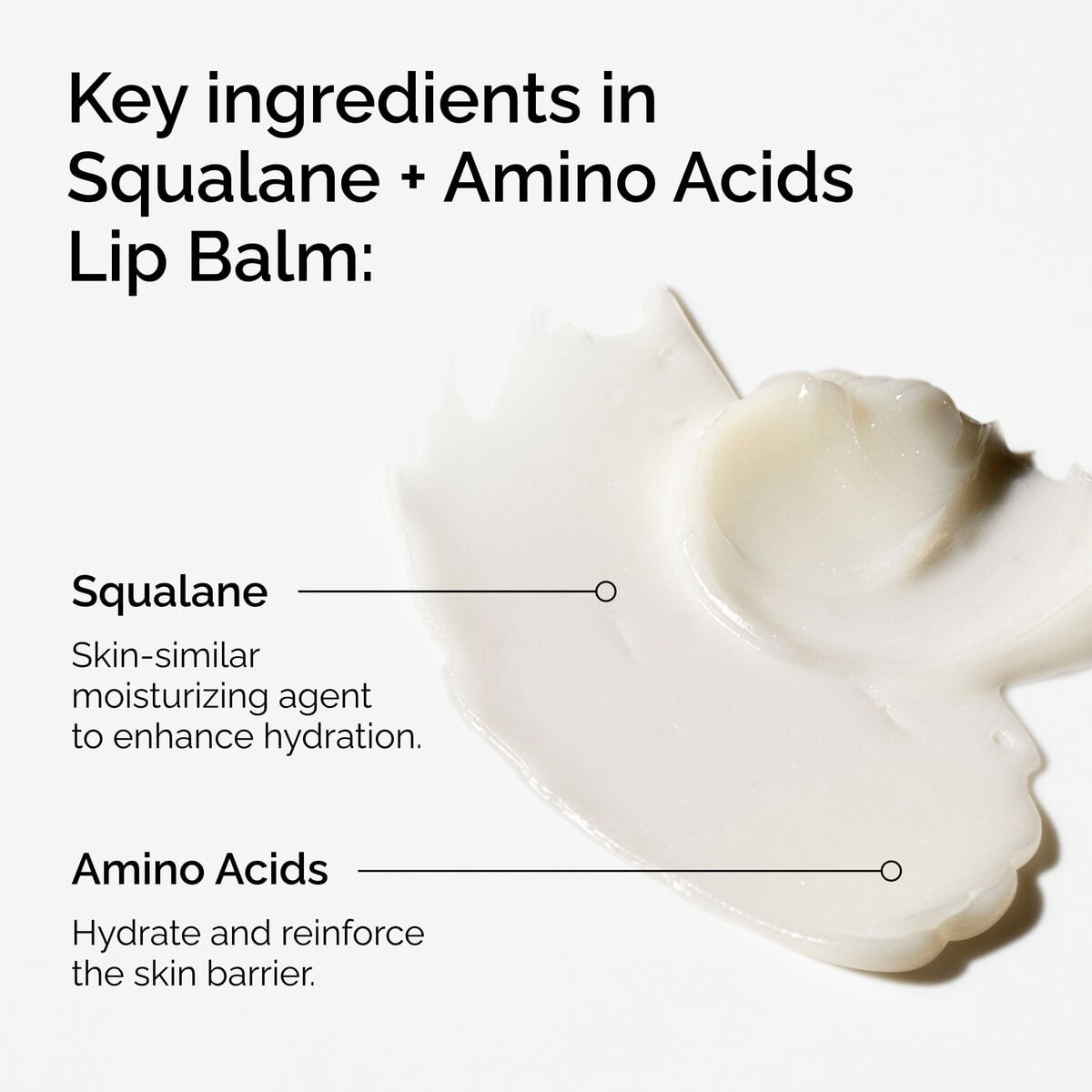 squalane-amino-acids-lip-balm-o5 FY25-D41247-ORD-Web-PDP-Sql-Amino-Lip-1x1-EN-2a.jpg