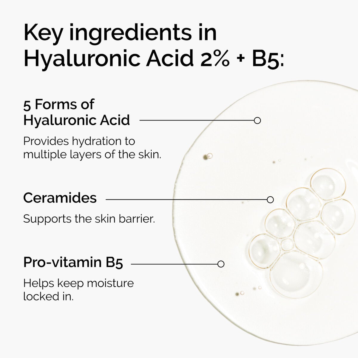 hyaluronic-acid-2-b5-with-ceramides-p5 ord-hyaluronic-acid-2pct-b5-hydrating-serum-ingredients-graphic.jpg