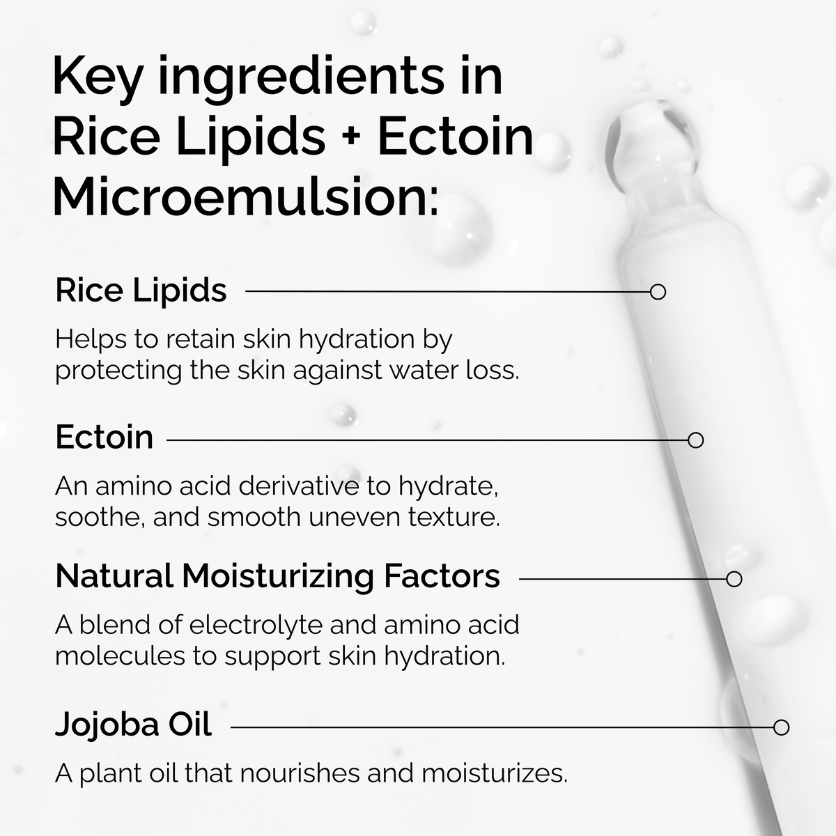 rice-lipids-ectoin-microemulsion-j0 ord-rice-lipids-ectoin-microemulsion-key-ingredients.png