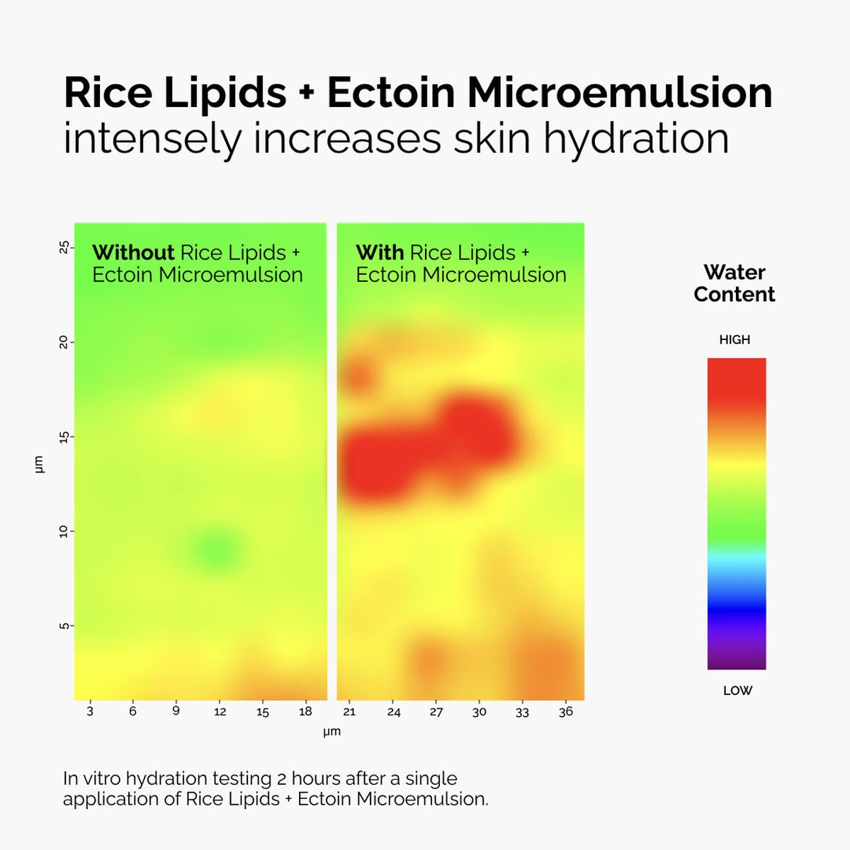 rice-lipids-ectoin-microemulsion-j0 ord-rice-lipids-ectoin-microemulsion-thermal-before-after.jpg